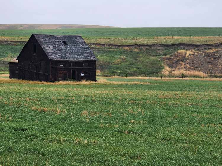 Alberta countryside